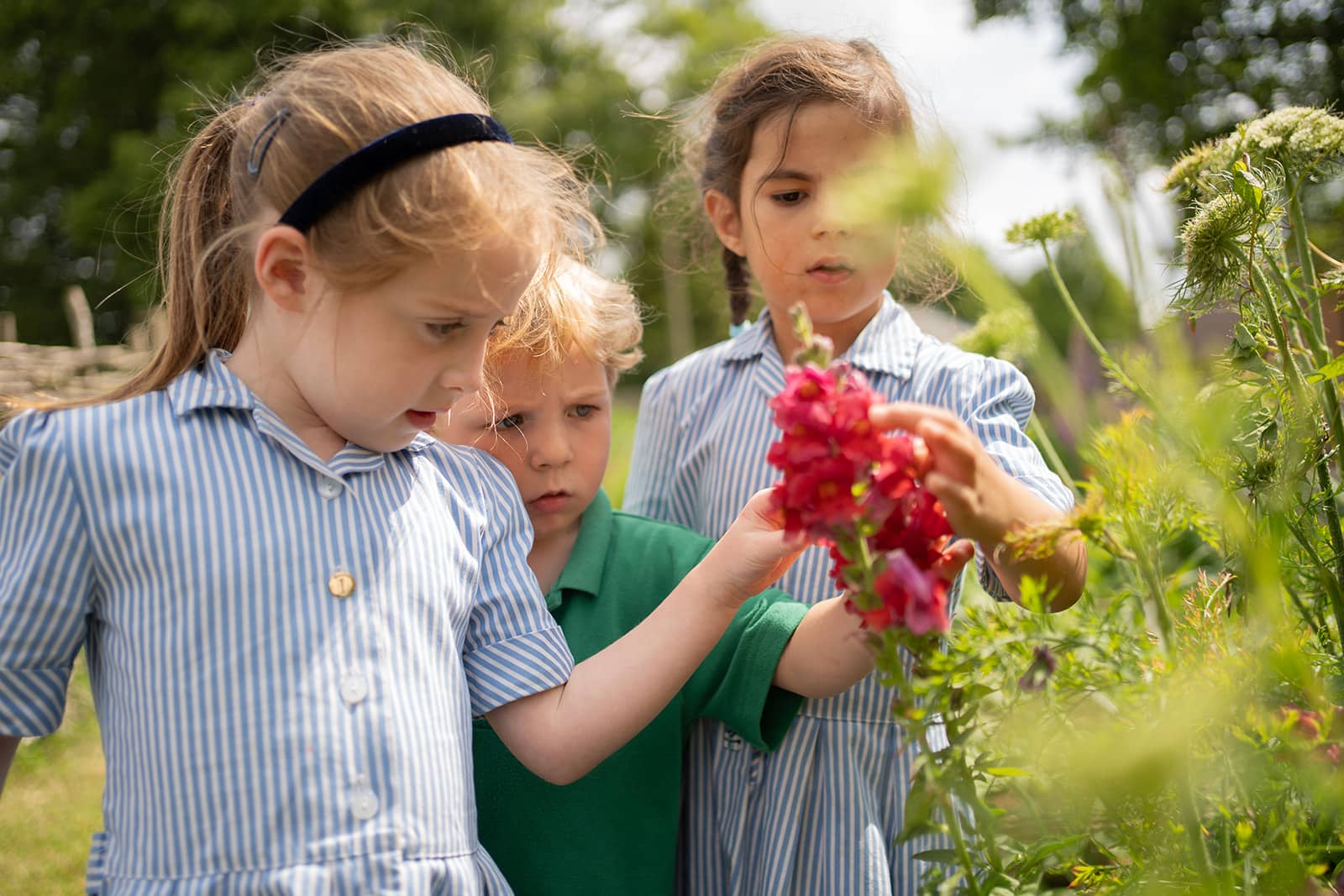 sibford early years students flowers