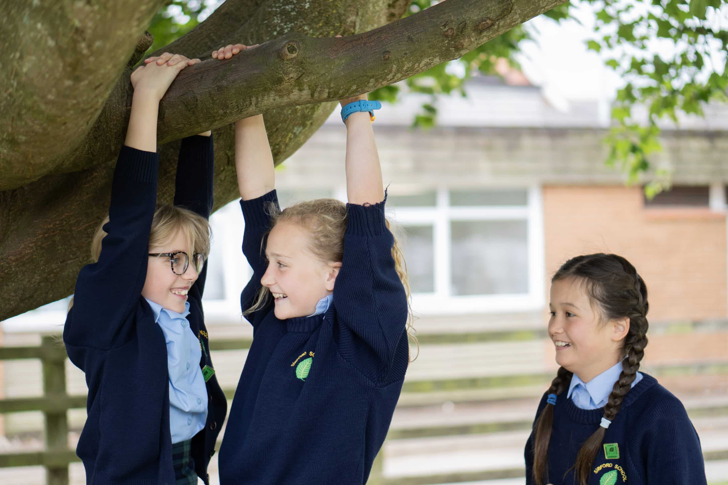 sibford-juniors-climbing-tree